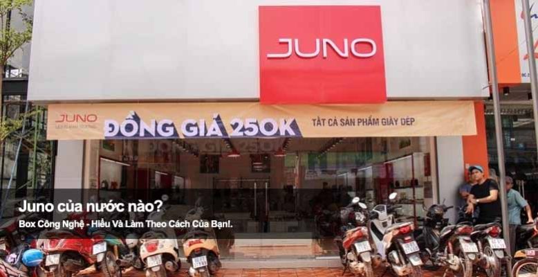 Juno của nước nào? Tìm hiểu nguồn gốc hãng thời trang nữ nổi tiếng