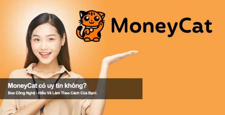 MoneyCat có uy tín không? Đọc ngay trước khi vay để tránh rủi ro