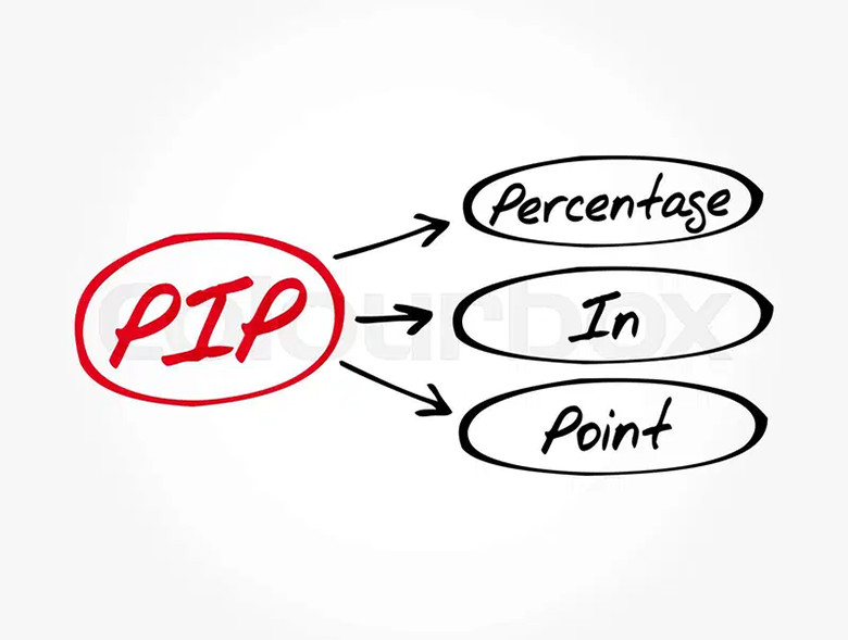 Pip và Lot là gì? Cách Tính & Áp Dụng Trong Giao Dịch Forex 
