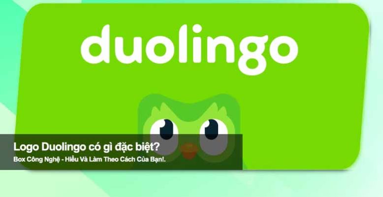Logo Duolingo có gì đặc biệt? Giải mã biểu tượng cú xanh nổi bật