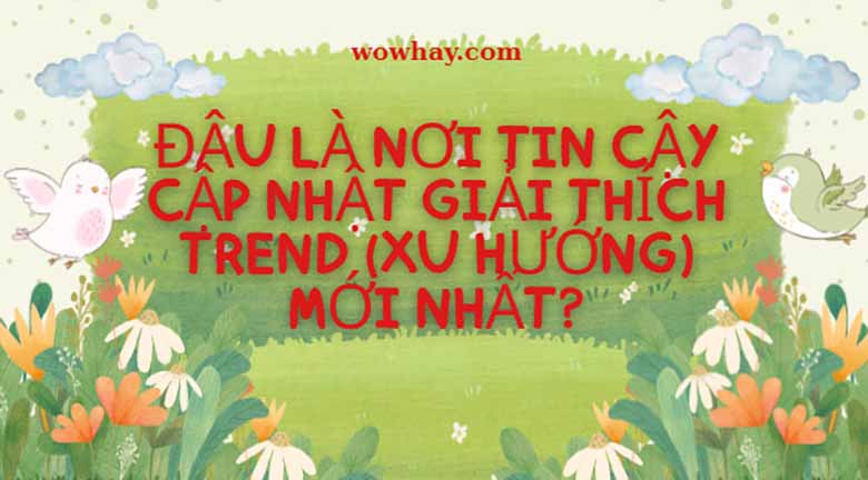 Đâu là nơi tin cậy cập nhật giải thích trend (xu hướng) mới nhất?