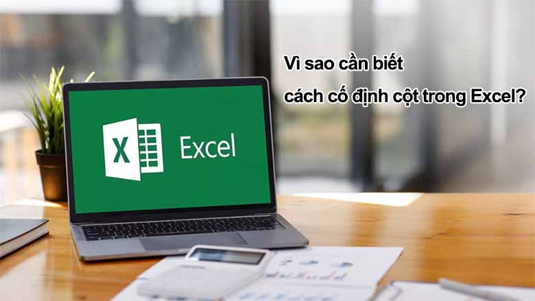 Cách cố định cột trong Excel nhanh gọn, dễ hiểu cho người mới