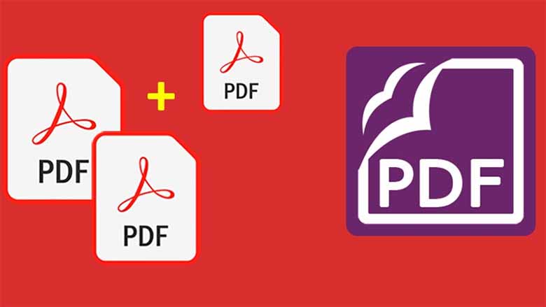 Cách gộp file PDF trên máy tính và điện thoại cực dễ dàng