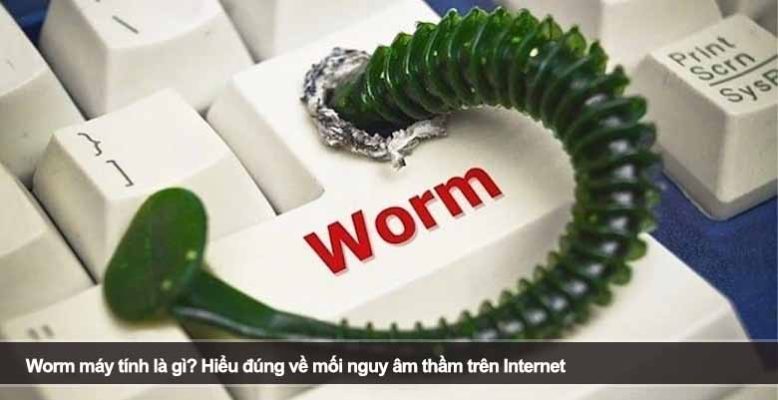 Worm máy tính là gì? Hiểu đúng về mối nguy âm thầm trên Internet