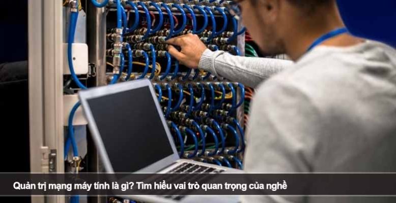 Quản trị mạng máy tính là gì? Tìm hiểu vai trò quan trọng của nghề
