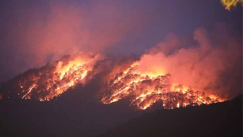 Mơ thấy lửa cháy báo hiệu điều gì? May mắn hay tai ương sắp đến
