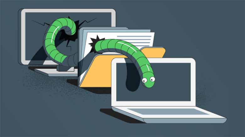 Worm máy tính là gì? Hiểu đúng về mối nguy âm thầm trên Internet