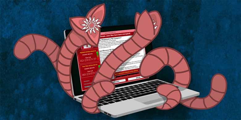 Worm máy tính là gì? Hiểu đúng về mối nguy âm thầm trên Internet