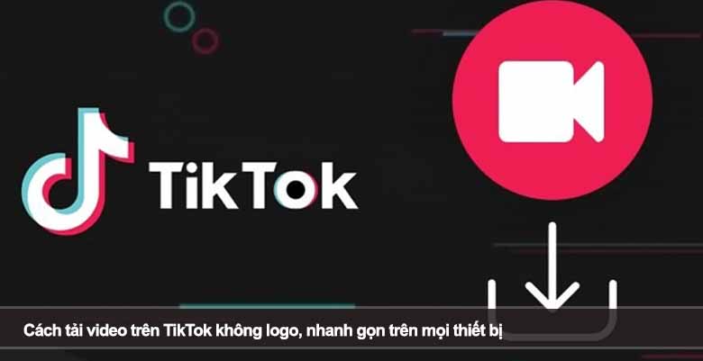 Cách tải video trên TikTok không logo nhanh gọn trên mọi thiết bị