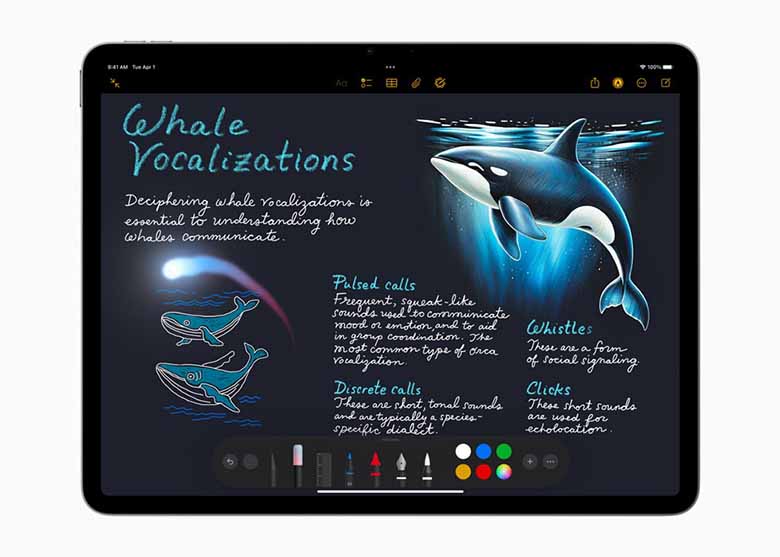 Chọn iPad Pro M5 hay Air M3? Cuộc chiến hiệu năng trong tầm giá lý tưởng 